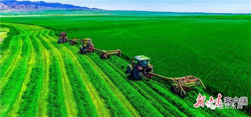 永昌县 :推动农业高质量发展