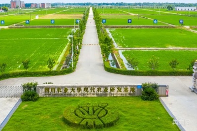 四川省崇州市现代农业产业园入选国家现代农业产业园